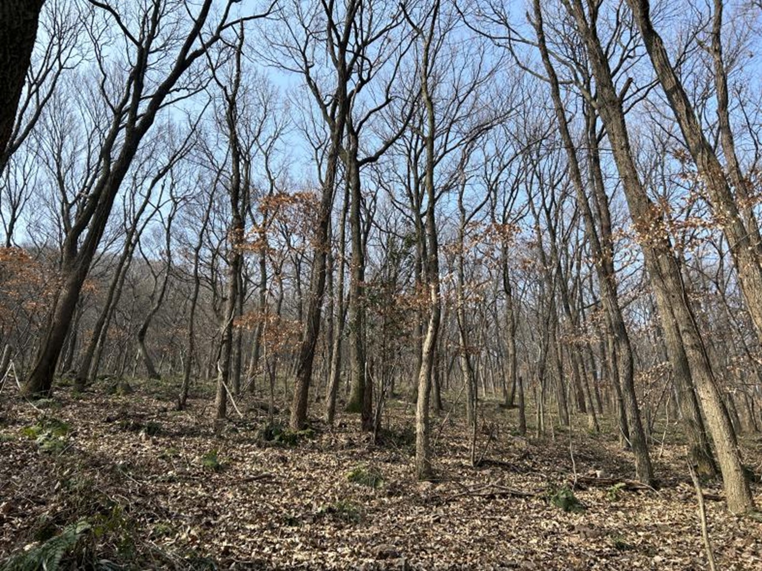 1762407121546355.jpg 1.jpg