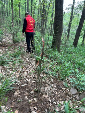 1762407282136511.jpg 4.jpg