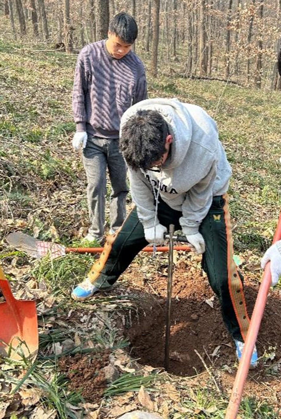 1762407299108848.jpg 5.jpg