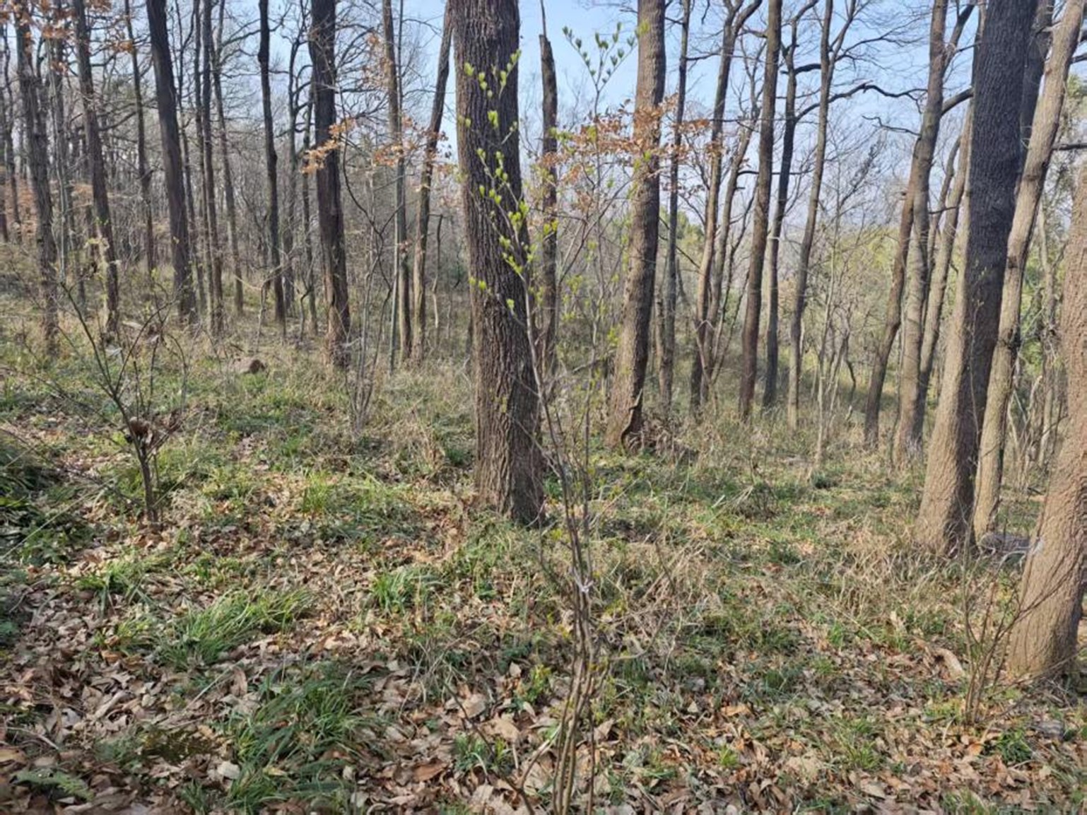 1762407367517388.jpg 6.jpg